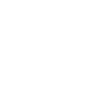 SIMS Logo